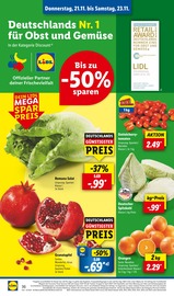 Aktueller Lidl Prospekt mit Tomaten, "LIDL LOHNT SICH", Seite 48