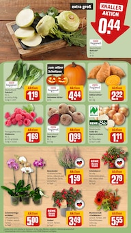 Pflanzen im aktuellen REWE Prospekt (Aachen) Pflanzen im REWE Prospekt "Dein Markt" mit 20 Seiten (Aachen)