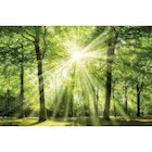 Bönninghoff Keilrahmenbild Angebote bei POCO Paderborn für 29,99 €