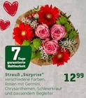 Strauß "Surprise" Angebote bei Pflanzen Kölle Schwabach für 12,99 €