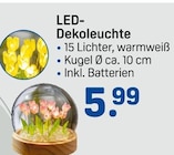 LED-Dekoleuchte im aktuellen Prospekt bei Rossmann in Rietz-Neuendorf