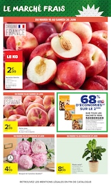 Promos Plantes dans le catalogue "LE MOIS DES SUPPORTERS" de Carrefour Market Plantes en promo dans le catalogue Carrefour Market à la page 24