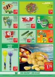 Aktueller Marktkauf Prospekt mit Pflanzen, "AUSWAHL RIESIG, PREISE NIEDRIG", Seite 9