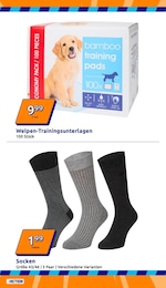 Action Mode im Prospekt 