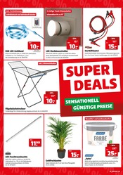 Aktueller Hagebaumarkt Prospekt mit Palme, "SUPER DEALS", Seite 4