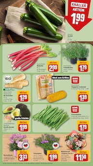 Pflanzen im REWE Prospekt "Dein Markt" mit 18 Seiten (Hannover)