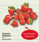 Aktuelle Erdbeeren Angebote bei Markant Nordwest in Paderborn Aktuelles Erdbeeren Angebot bei Markant Nordwest in Paderborn