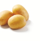 Aktuelle Gemüse Angebote bei Lidl in Solingen (Klingenstadt) Aktuelles Deutsche Speisekartoffeln Angebot bei Lidl in Solingen (Klingenstadt) ab 1,99 €