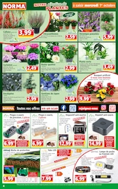 Jardinage Angebote im Prospekt "Votre Discounter Régional" von Norma auf Seite 4
