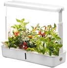 LED-Anzuchtkasten im Angebot bei Penny in Oberursel LED-Anzuchtkasten Angebote von Florana bei Penny Oberursel für 19,99 €