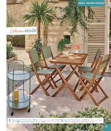 Offre Chariot dans le catalogue Jardiland du moment à la page 25