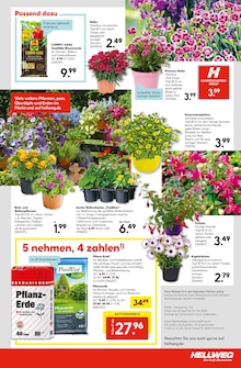 Blumenerde im Hellweg Prospekt "Die Profi-Baumärkte" mit 28 Seiten (Dortmund)