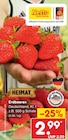 Erdbeeren für 2,99 € bei Netto Marken-Discount im Angebot Erdbeeren im aktuellen Netto Marken-Discount Prospekt
