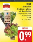 Heimatliebe Fränkisches Salatrio mit Wurzelballen bei EDEKA im Prospekt "" für 0,99 €