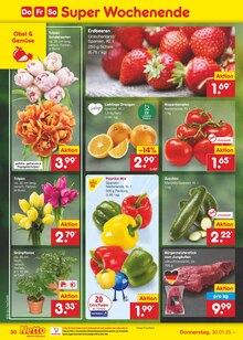 Tulpen im Netto Marken-Discount Prospekt "Aktuelle Angebote" mit 56 Seiten (Rostock)