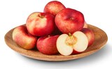 Aktuelles Plattnektarinen Angebot bei Penny in Hamburg ab 2,99 €