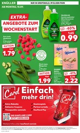Aktueller Kaufland Prospekt mit Lenor, "EXTRA-ANGEBOTE", Seite 8
