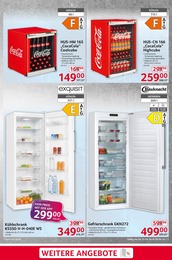 Tiefkühlschrank Angebot im aktuellen Selgros Prospekt auf Seite 7