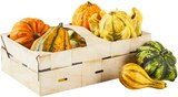 Zierkürbisse im Korb im Angebot bei REWE in Ludwigshafen Zierkürbisse im Korb Angebote bei REWE Ludwigshafen für 3,99 €