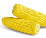 Frischer Zuckermais im Angebot bei Penny in Bergisch Gladbach Frischer Zuckermais Angebote von Marktliebe bei Penny Bergisch Gladbach für 1,69 €