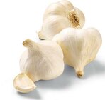 Bio Knoblauch im Angebot bei Netto Marken-Discount in Gera Bio Knoblauch Angebote von BioBio bei Netto Marken-Discount Gera für 1,29 €