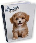 Agenda scolaire 12X17CM - BOUCHUT en promo chez Super U Grenoble à 3,19 €