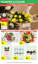 Prix et réduction Plante D'intérieur dans le prospectus Carrefour en cours Offre Plante D'intérieur dans le catalogue Carrefour du moment à la page 59