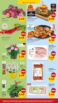 Blumen im Penny Prospekt "Wer günstig will, muss Penny." mit 47 Seiten (Leipzig)