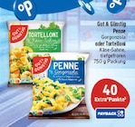 40 Extra°Punkte im Angebot bei Marktkauf in Schweinfurt 40 Extra°Punkte Angebote von Payback bei Marktkauf Schweinfurt