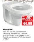Wand-WC bei Herbrügger im Arnsberg Prospekt für 44,99 €