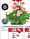 Dehner Garten-Center Höchberg Prospekt mit  im Angebot für 2,49 €