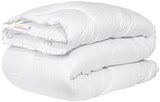 Aktuelle Bettdecke Angebote bei Penny in Fürth Aktuelles Steppbett Angebot bei Penny in Fürth ab 24,99 €