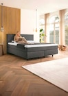 Aktuelles Boxspringbett LINERA ONE Angebot bei Zurbrüggen in Essen ab 1.998,00 €