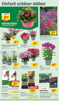 Gartenerde im aktuellen toom Baumarkt Prospekt (Frankfurt (Main)) Gartenerde im toom Baumarkt Prospekt "Respekt, wer's selber macht." mit 14 Seiten (Frankfurt (Main))