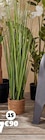 Plante artificielle Pampa dans le catalogue Gifi