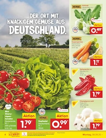 Kohlrabi im Netto Marken-Discount Prospekt "Aktuelle Angebote" mit 44 Seiten (Bielefeld)