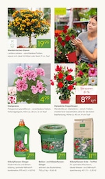 Dünger Angebot & Preis im aktuellen Pflanzen Kölle Prospekt Dünger Angebot im aktuellen Pflanzen Kölle Prospekt auf Seite 3