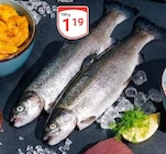 Aktuelle Forelle Angebote bei GLOBUS in Braunschweig Aktuelles Frische Forelle Angebot bei GLOBUS in Braunschweig ab 1,19 €
