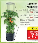 Aktuelles Tomaten-Pflanztopf Angebot bei Zimmermann in Hildesheim ab 7,99 €