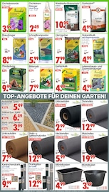 Aktueller Wreesmann Prospekt mit Steine, "DEIN SAISON- & SONDERPOSTENMARKT!", Seite 5