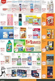 Aktueller GLOBUS Prospekt mit Duftkerzen, "Aktuelle Angebote", Seite 23