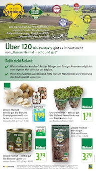 Eier im EDEKA Prospekt "Aktuelle Angebote" mit 49 Seiten (Ludwigshafen (Rhein))