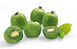 Kiwibeeren Angebote bei REWE Fellbach für 1,69 €