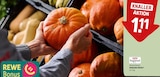 Hokkaido Kürbis von REWE Regional für 1,11 € bei REWE im Angebot Hokkaido Kürbis von REWE Regional im aktuellen REWE Prospekt