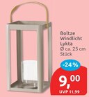 Windlicht Lykt von Boltze im aktuellen budni Prospekt
