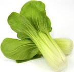 Mini Pak Choi für 1,70 € bei METRO im Angebot Mini Pak Choi im aktuellen METRO Prospekt
