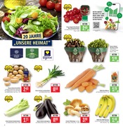 Kartoffeln im Marktkauf Prospekt in Lörrach Aktueller Marktkauf Prospekt mit Kartoffeln, "Aktuelle Angebote", Seite 6