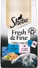 Fresh & Fine Katzennassnahrung von Sheba für 5,00 € bei Netto mit dem Scottie im Angebot Fresh & Fine Katzennassnahrung von Sheba im aktuellen Netto mit dem Scottie Prospekt