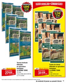 Promo Granulé Bois dans le catalogue Carrefour du moment à la page 53