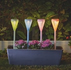 Mr.Bricolage Magalas - Promo Lot de 4 balises solaires décoratives Promo Lot de 4 balises solaires décoratives à 9,95 € dans le catalogue Mr.Bricolage à Magalas